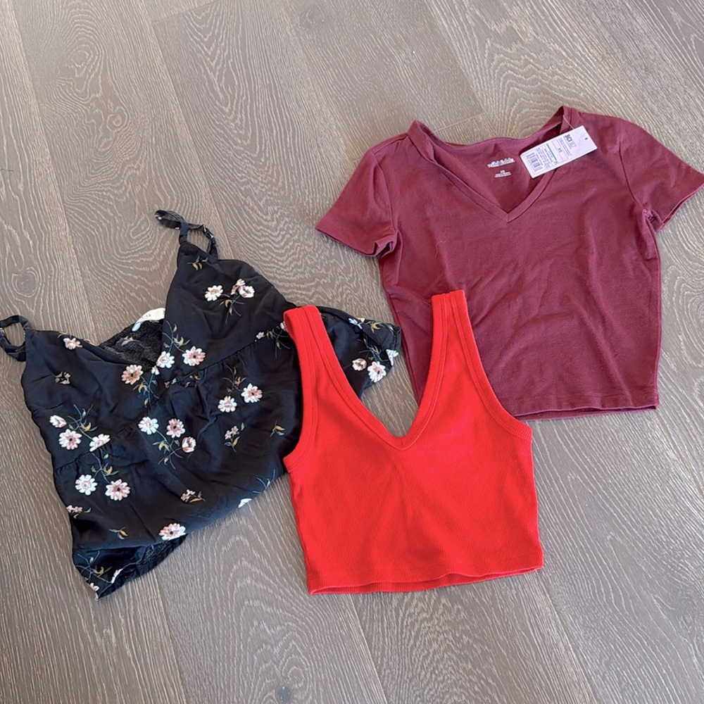 3 piece bundle lot XS crop tops. Zara, Hollister, Wild Fable (NWT).